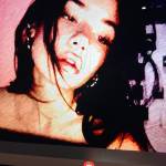 Soph Willcry Profile Picture