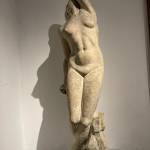 Violett Salvatore Profile Picture