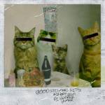 Ann Pixx Profile Picture