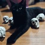 Dezarae Nicole Profile Picture