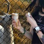 Courtney Brown Profile Picture