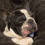 Hary OO Profile Picture