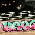 Luisa Profile Picture