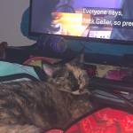 Daijah Istoxic Profile Picture