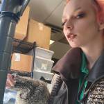 Cig Garette Profile Picture