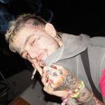 Hollie Mae Profile Picture