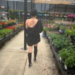 Alex Alejo Profile Picture