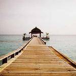 Nicklaus Grady Profile Picture