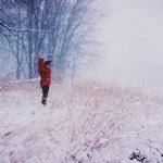 Lew Gutkowski Profile Picture