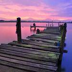 Elroy Goyette Profile Picture