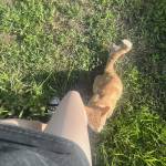 Katelyn Katie Profile Picture