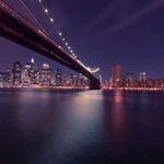 Allison Nader Profile Picture