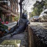 Estefania Romaguera Profile Picture