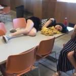 Lily Saad Profile Picture