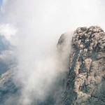 Shawna Collins Profile Picture