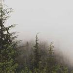 Vince Oberbrunner Profile Picture