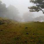 Margaretta Strosin Profile Picture