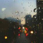 Alaina Torp Profile Picture