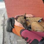 Magnolia N Dusa Profile Picture