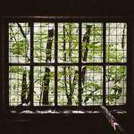 Nina Fay Profile Picture