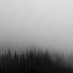 Misty Wiegand Profile Picture