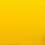 Moises Ziemann Profile Picture