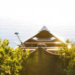 Edmund McKenzie Profile Picture