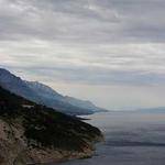 Zachariah Johnston Profile Picture