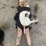 Brenna Bucalo Profile Picture