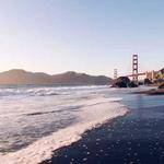 Adelia Hermann Profile Picture