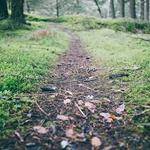 Parker McClure Profile Picture