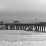 Gennaro Johnson Profile Picture