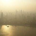 Ernestine Toy Profile Picture