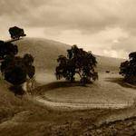 Dakota Grimes Profile Picture