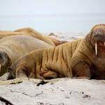 Jadyn Bashirian Profile Picture