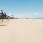 Callie Towne Profile Picture