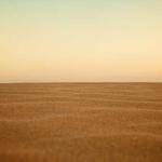 Lazaro Koss Profile Picture