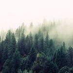 Tabitha Schuster Profile Picture