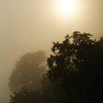 Mckenna Renner Profile Picture