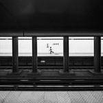 Scarlett Hessel Profile Picture