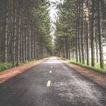 Jalen Bednar Profile Picture