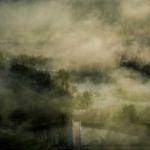 Devon Morissette Profile Picture