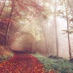 Jamie Boyer Profile Picture