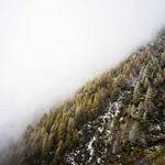 Angelica Corwin Profile Picture