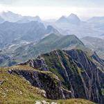 Jazmin Crist Profile Picture