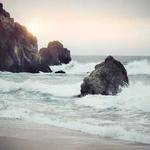 Elinore Wolf Profile Picture