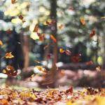 Darrin Wuckert Profile Picture