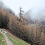 Princess Heaney Profile Picture