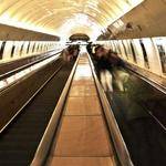 Lila Morar Profile Picture