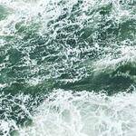 Rod Dickinson Profile Picture